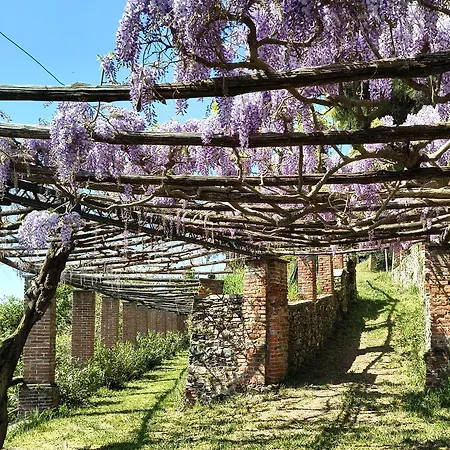 Antica Rocca Nel * Salussola